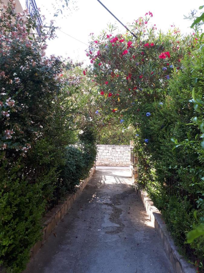 Garneli * Kalami (Corfu)